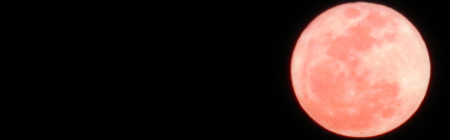 可以免费看黄色片的软件